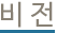 비전